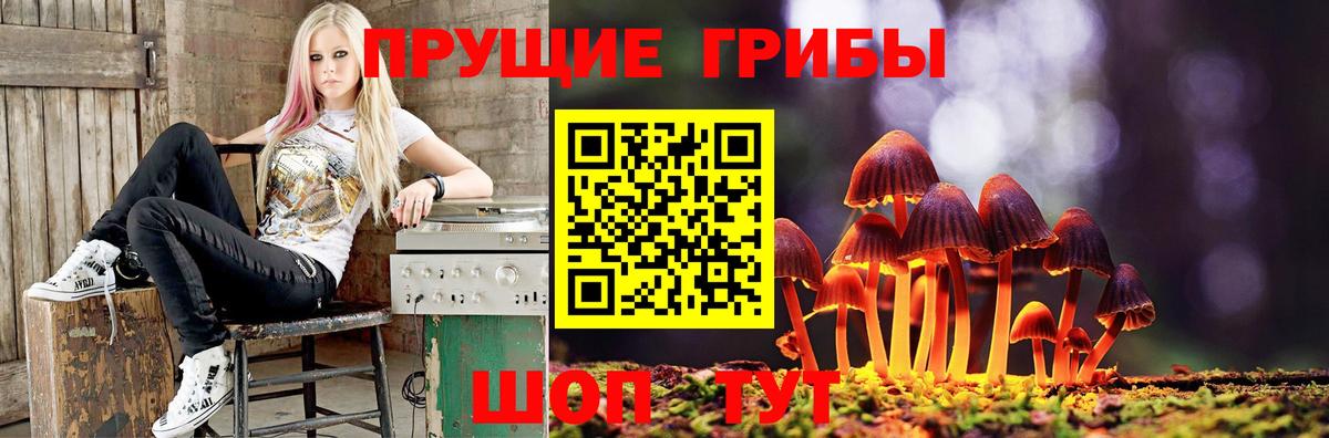 Псилоцибиновые грибы Cubensis  наркошоп  Омск  Вход с VPN 